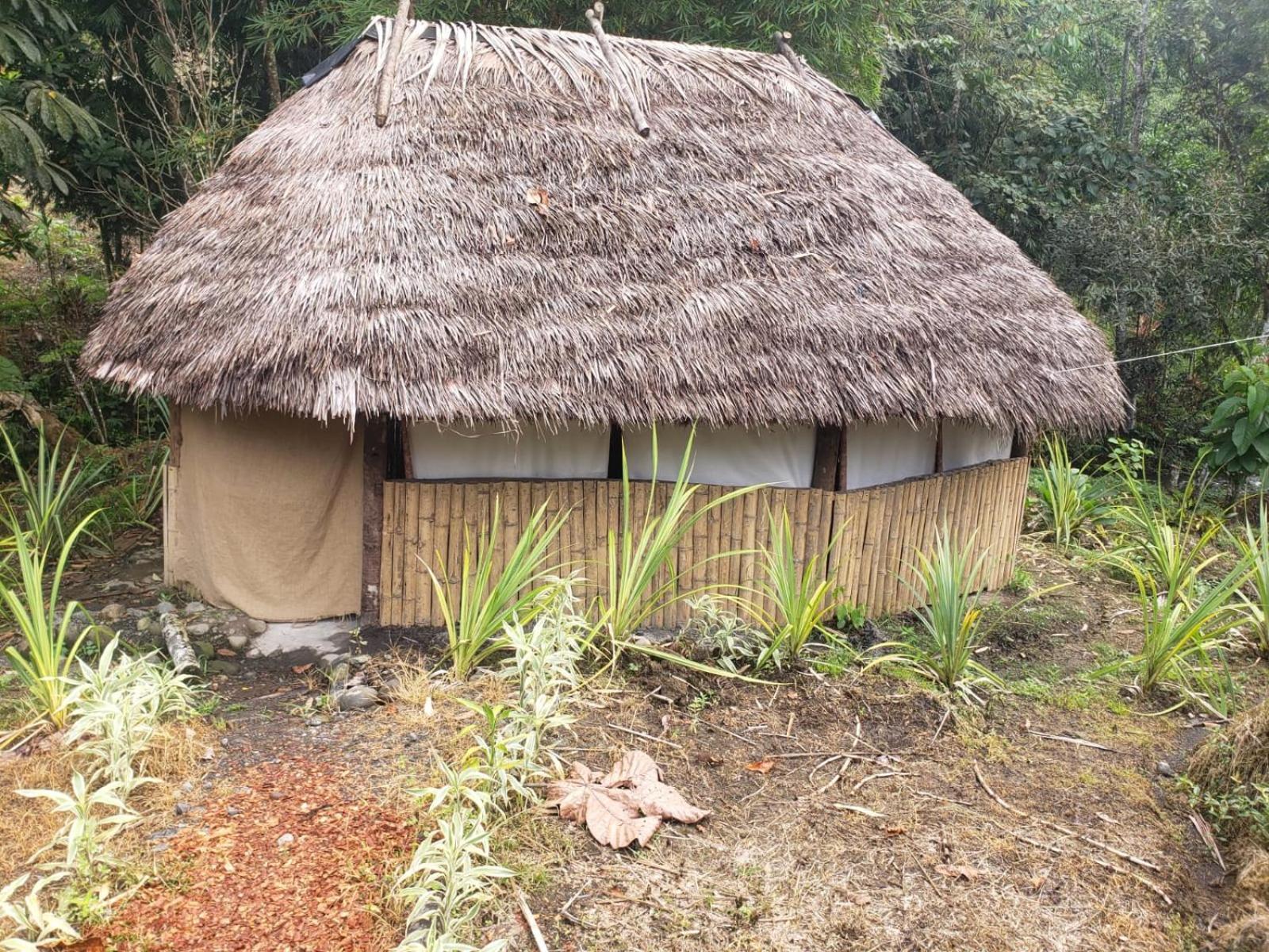 Hosteria Cacique Wasi Hotel Puyo Exterior foto